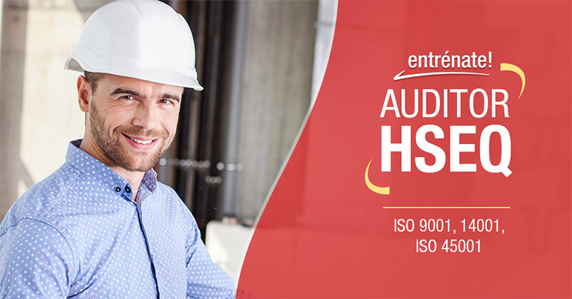 Curso Auditor Interno Hseq En Bogot De Abril De Ingenio Y